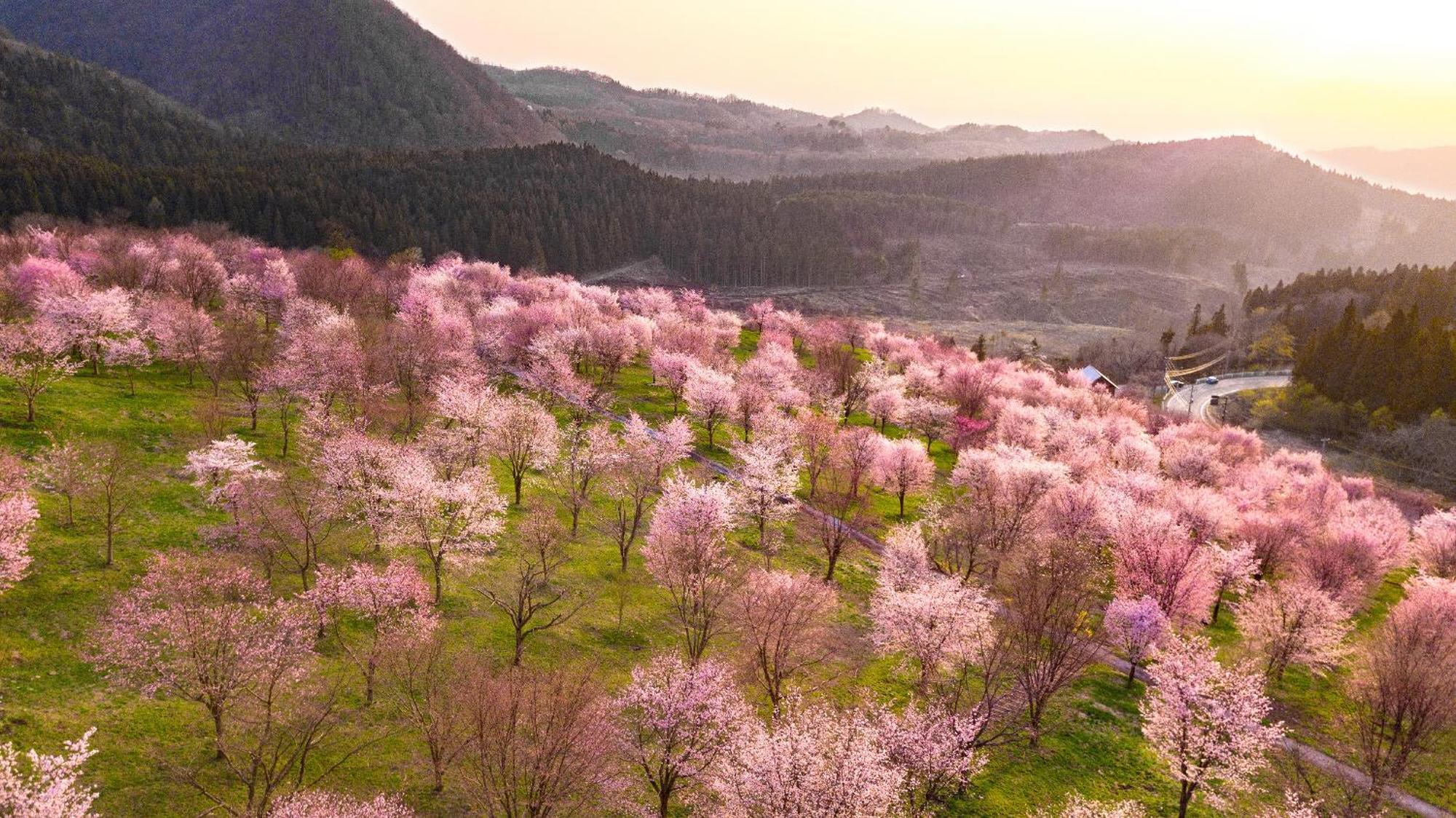 Urabandai Lake Resort Goshiki No Mori Kitasiobara Kültér fotó