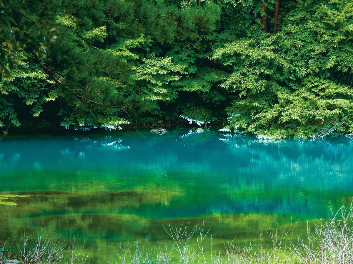 Urabandai Lake Resort Goshiki No Mori Kitasiobara Kültér fotó